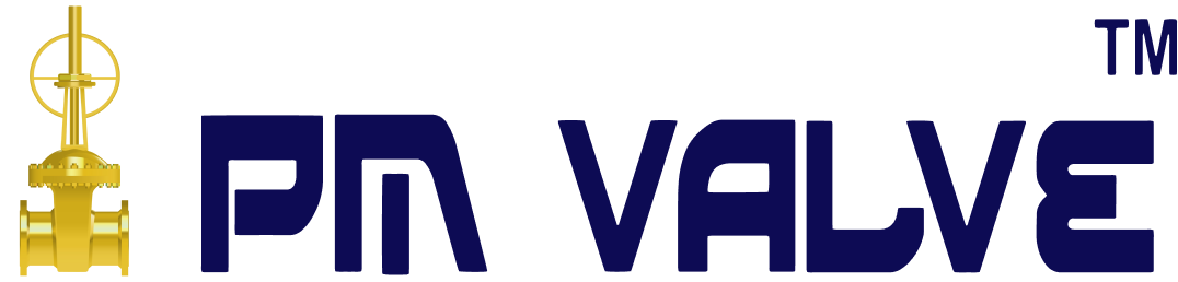 PM Valve logo